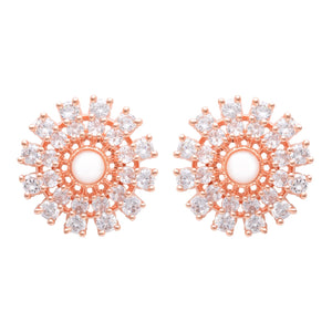 Color_Rose Gold
