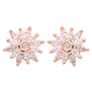 Color_Rose Gold