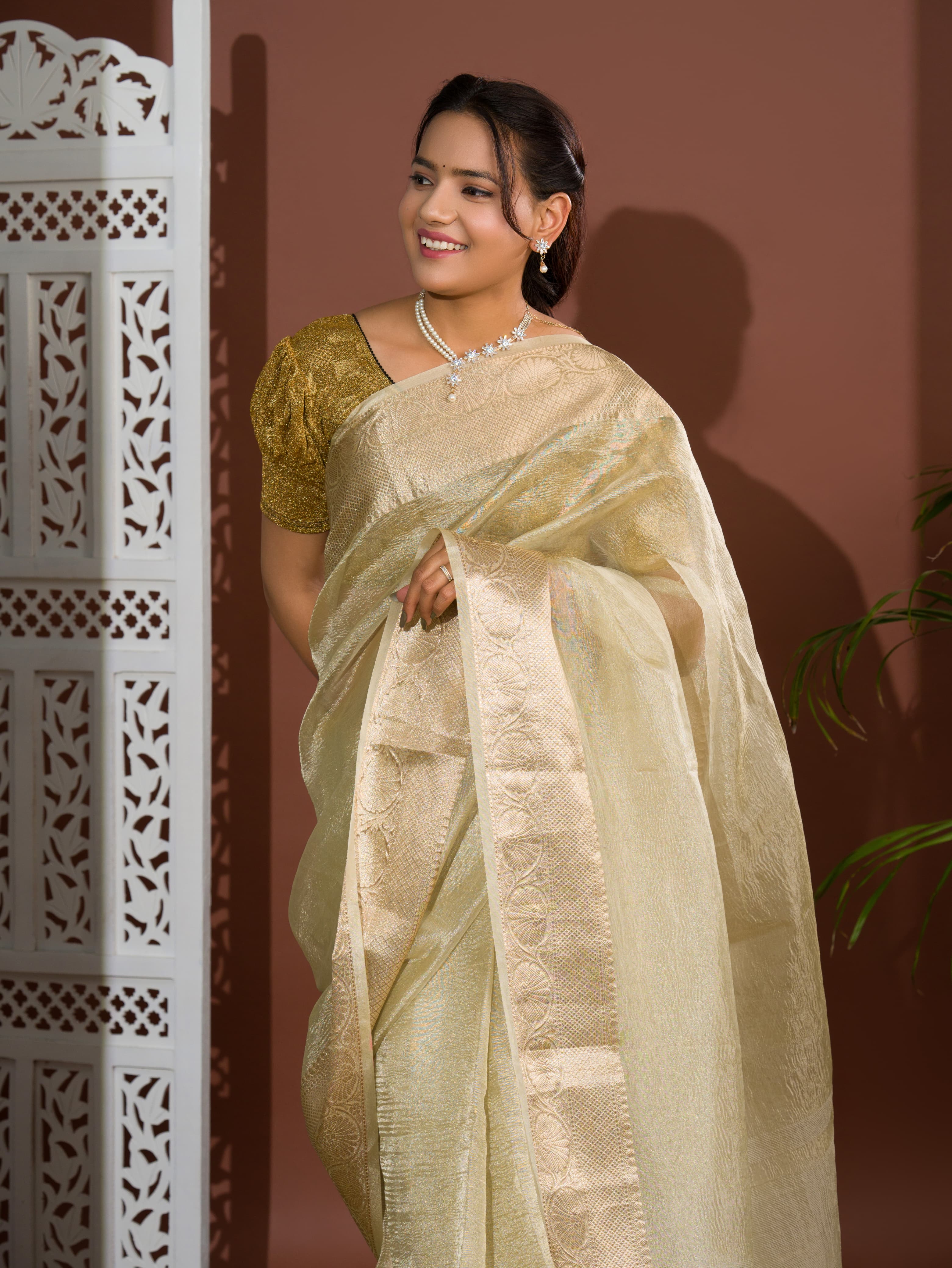 Women's Tissue Silk Banarasi Handloom Zari Border saree INA