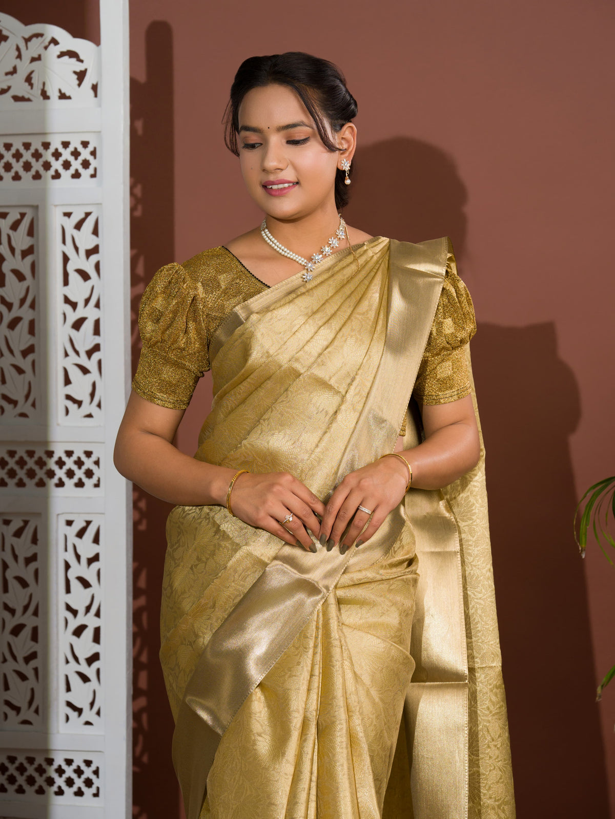 Women's Tissue Handloom Banarasi Saree With Blouse KB