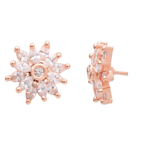 Color_Rose Gold