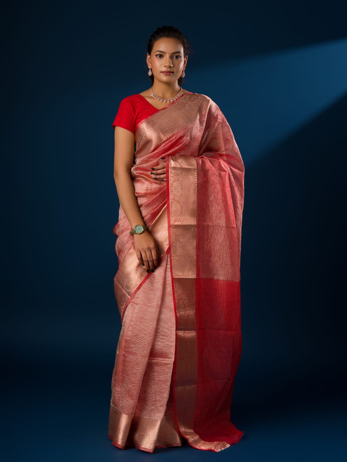 Women's Tissue Silk Banarasi Handloom Zari Border saree INA
