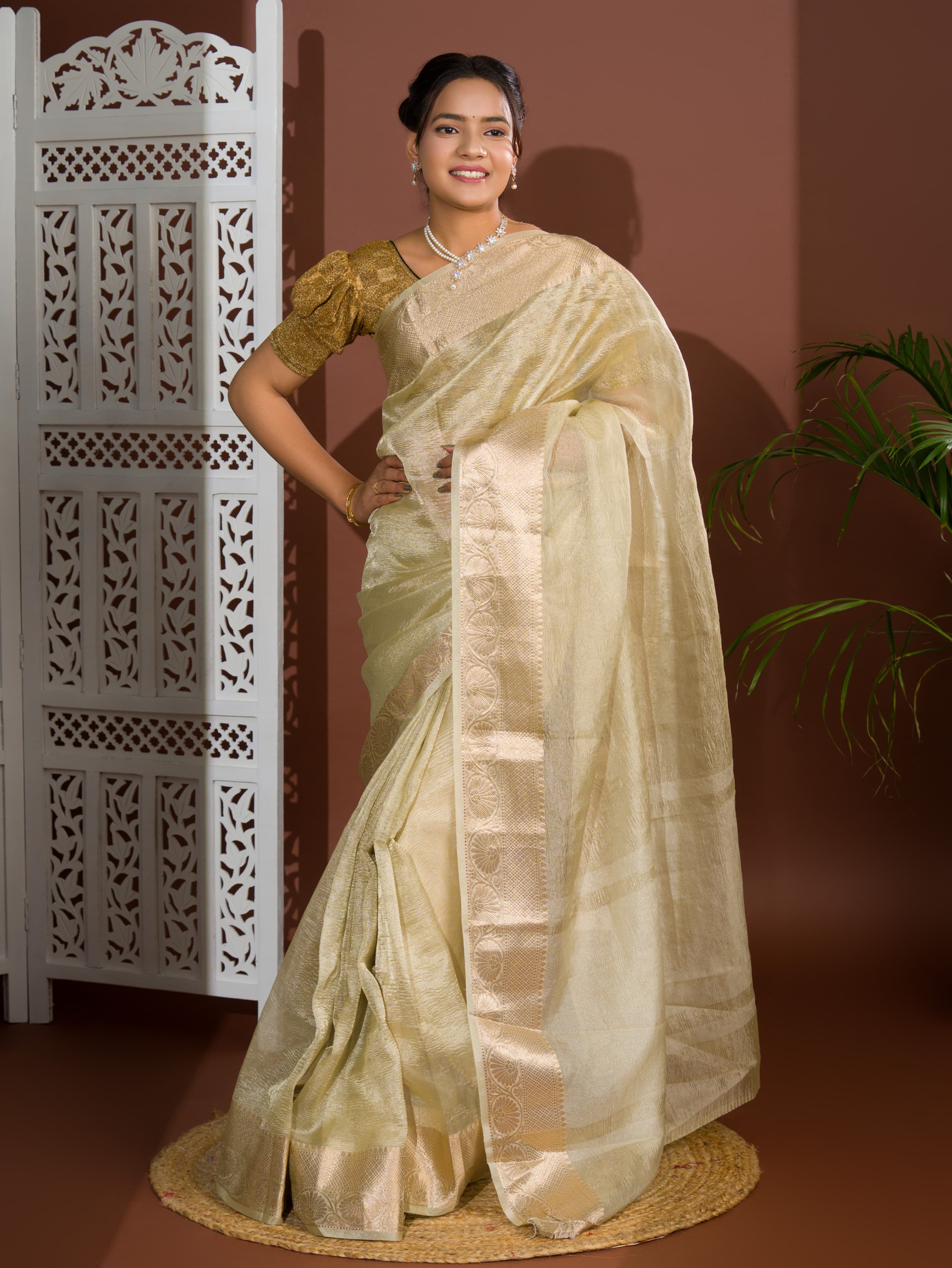 Women's Tissue Silk Banarasi Handloom Zari Border saree INA